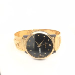 Men Panama Panther Full Gold Watch Round Shape